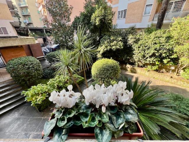 La Casa Delle Camelie Apartment Рим Екстериор снимка